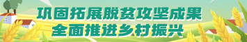 鞏固拓展脫貧攻堅成果 全面推進鄉村振興